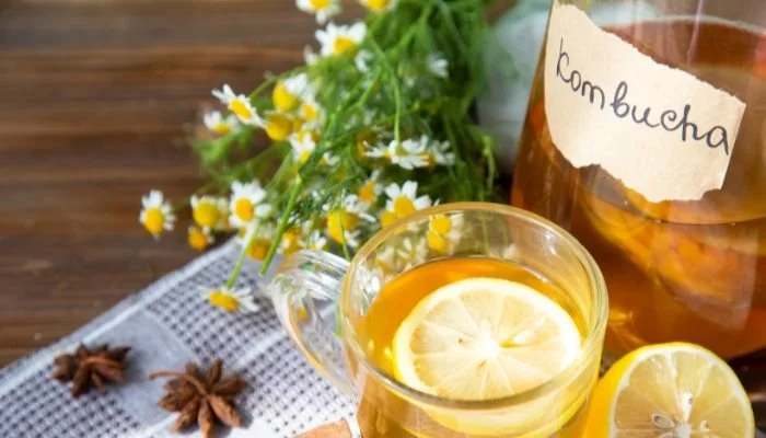 Kombucha while breastfeeding 2025